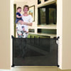 Retractable gate (black) 1